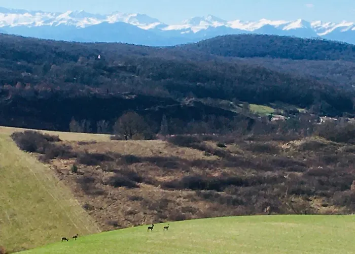 La Vieille Forge Dom wakacyjny *